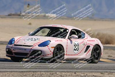 media/Oct-18-2025-PCA San Diego (Sat) [[653db1c827]]/3-Orange/Session 3 Turn 4 Tree of Life/